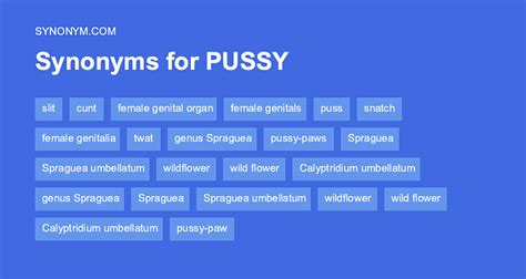 pussy synonyms|PUSSY Definition & Meaning 